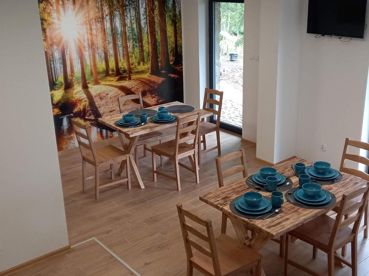Sowiogorska Ostoja Appartement Jugów Buitenkant foto