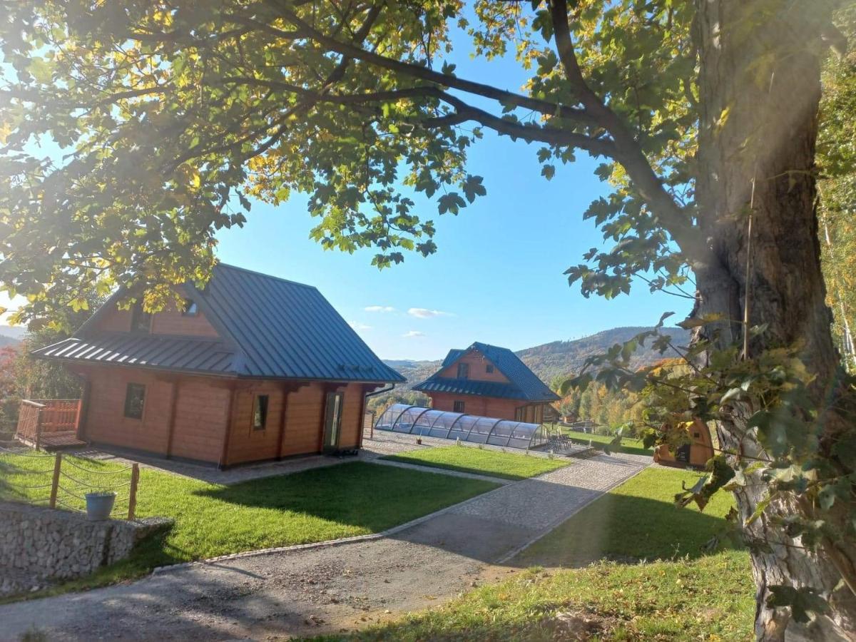 Sowiogorska Ostoja Appartement Jugów Buitenkant foto
