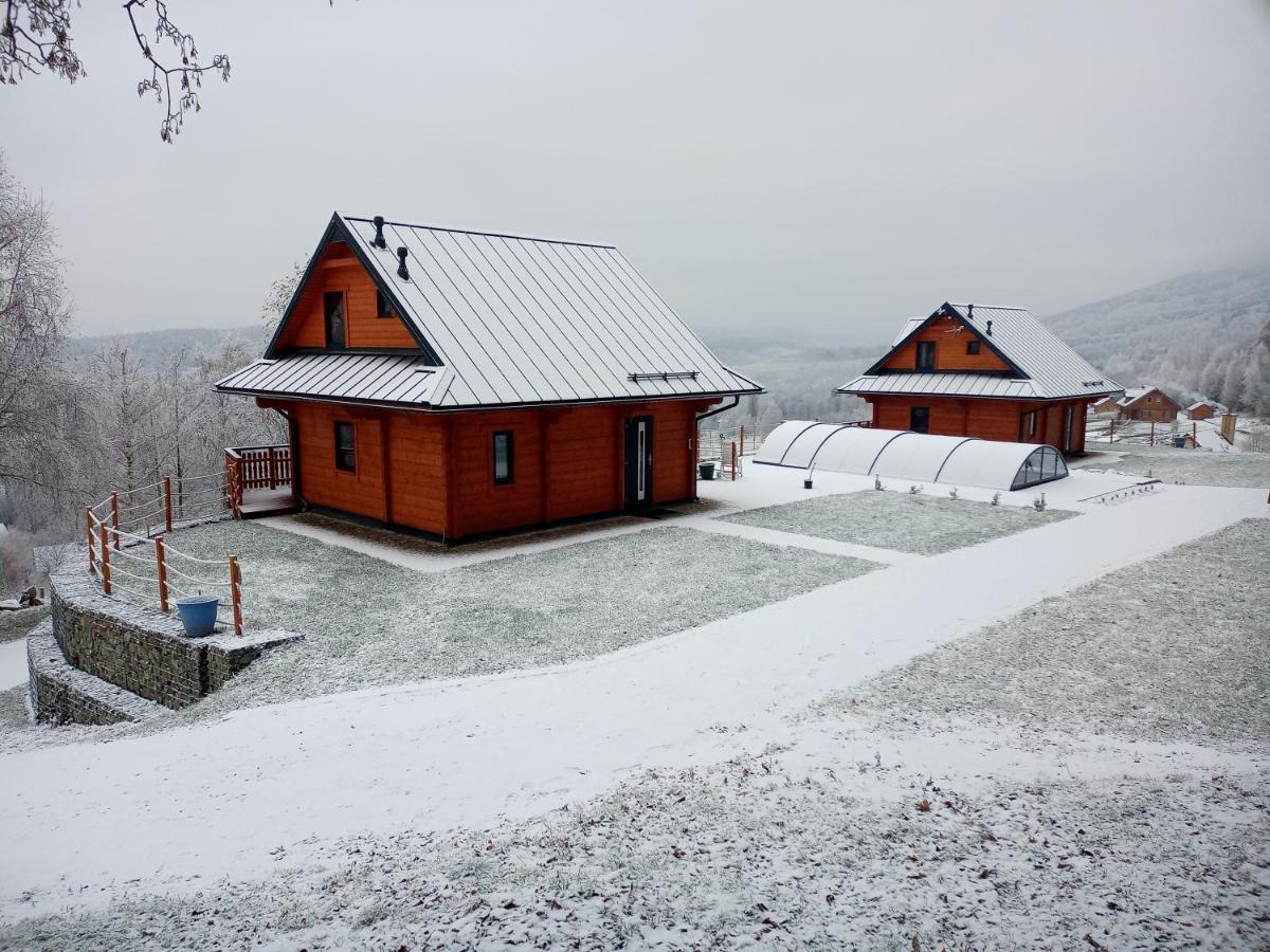 Sowiogorska Ostoja Appartement Jugów Buitenkant foto