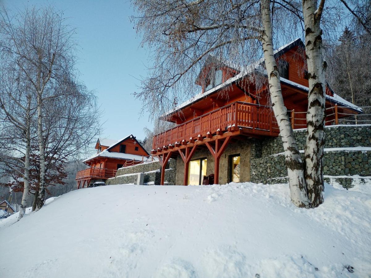 Sowiogorska Ostoja Appartement Jugów Buitenkant foto
