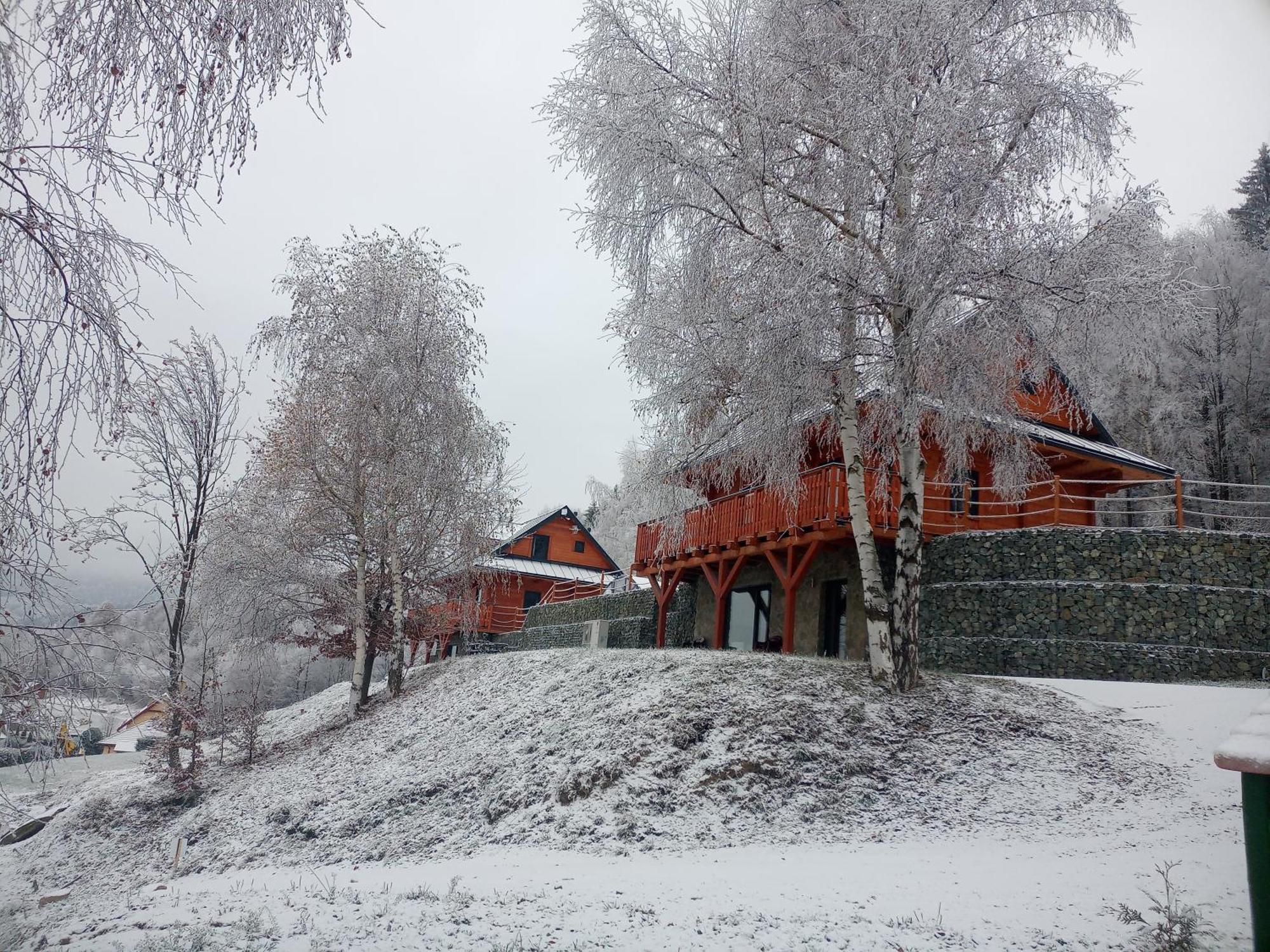 Sowiogorska Ostoja Appartement Jugów Buitenkant foto